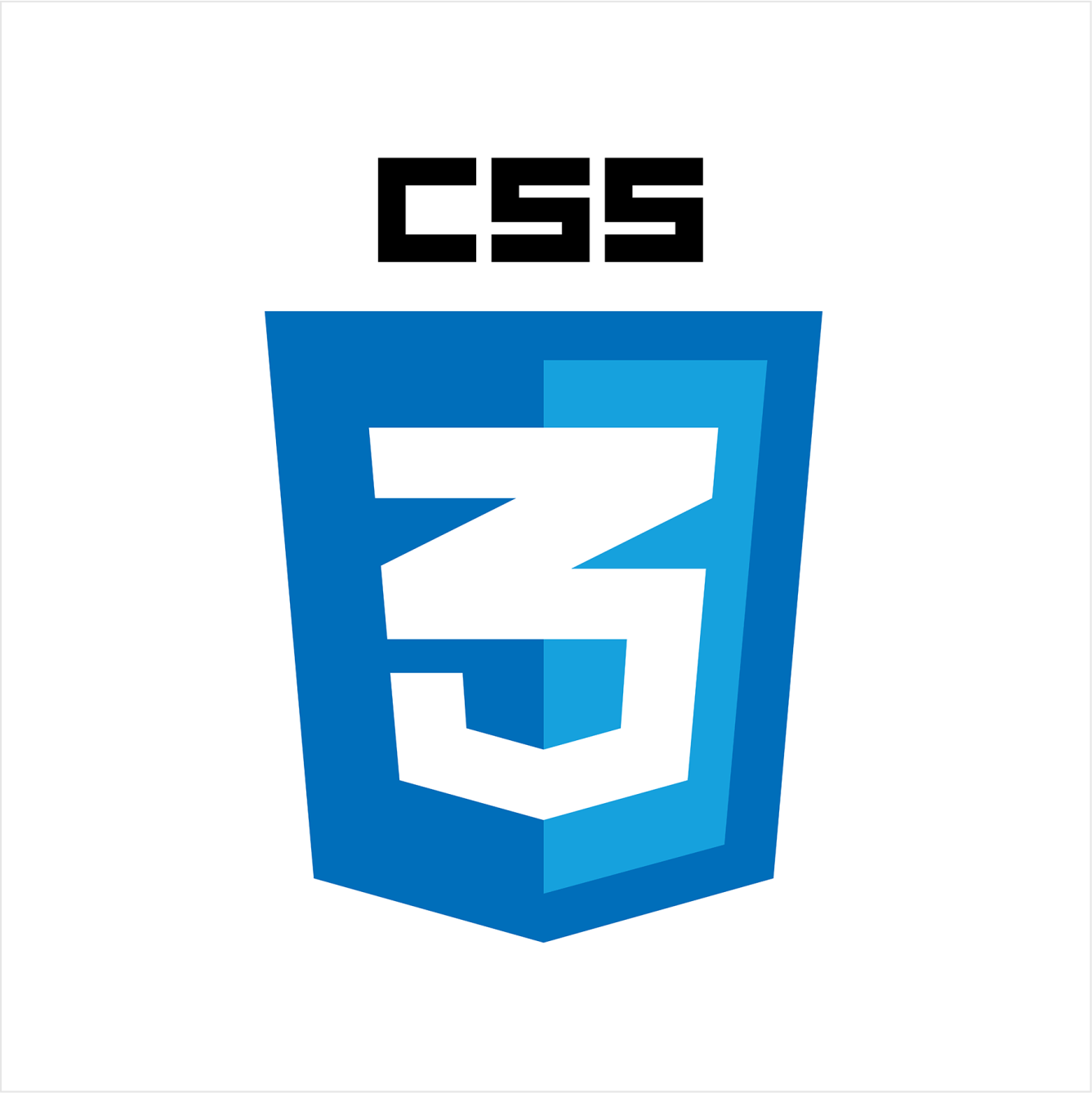 CSS Logo